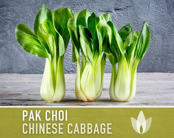 Pak Choi Chinese Cabbage Heirloom Seeds