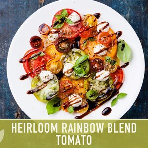Heirloom Rainbow Blend Tomato Seeds | 30+ Non-GMO, Open Pollinated, Organic, Colorful Varieties Lycopersicon lycopersicum image 8