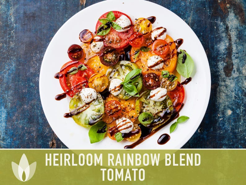 Heirloom Rainbow Blend Tomato Seeds | 30+ Non-GMO, Open Pollinated, Organic, Colorful Varieties Lycopersicon lycopersicum image 8