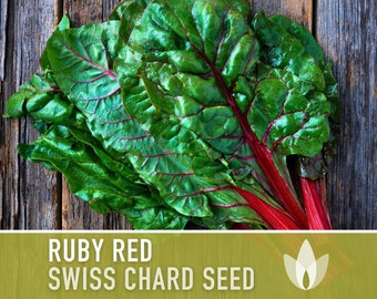 50 Mix Colors Swiss Chard Seeds, Rainbow Blend Chard Free GIFT Heirloom ...