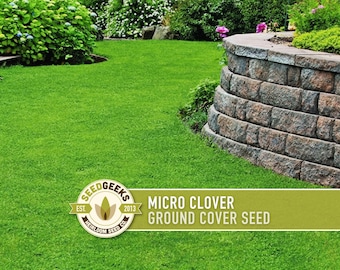 Micro (Mini) Clover Seeds | 12,500+ Seeds (.5 oz), Drought Tolerant Lawn Alternative | Trifolium repens