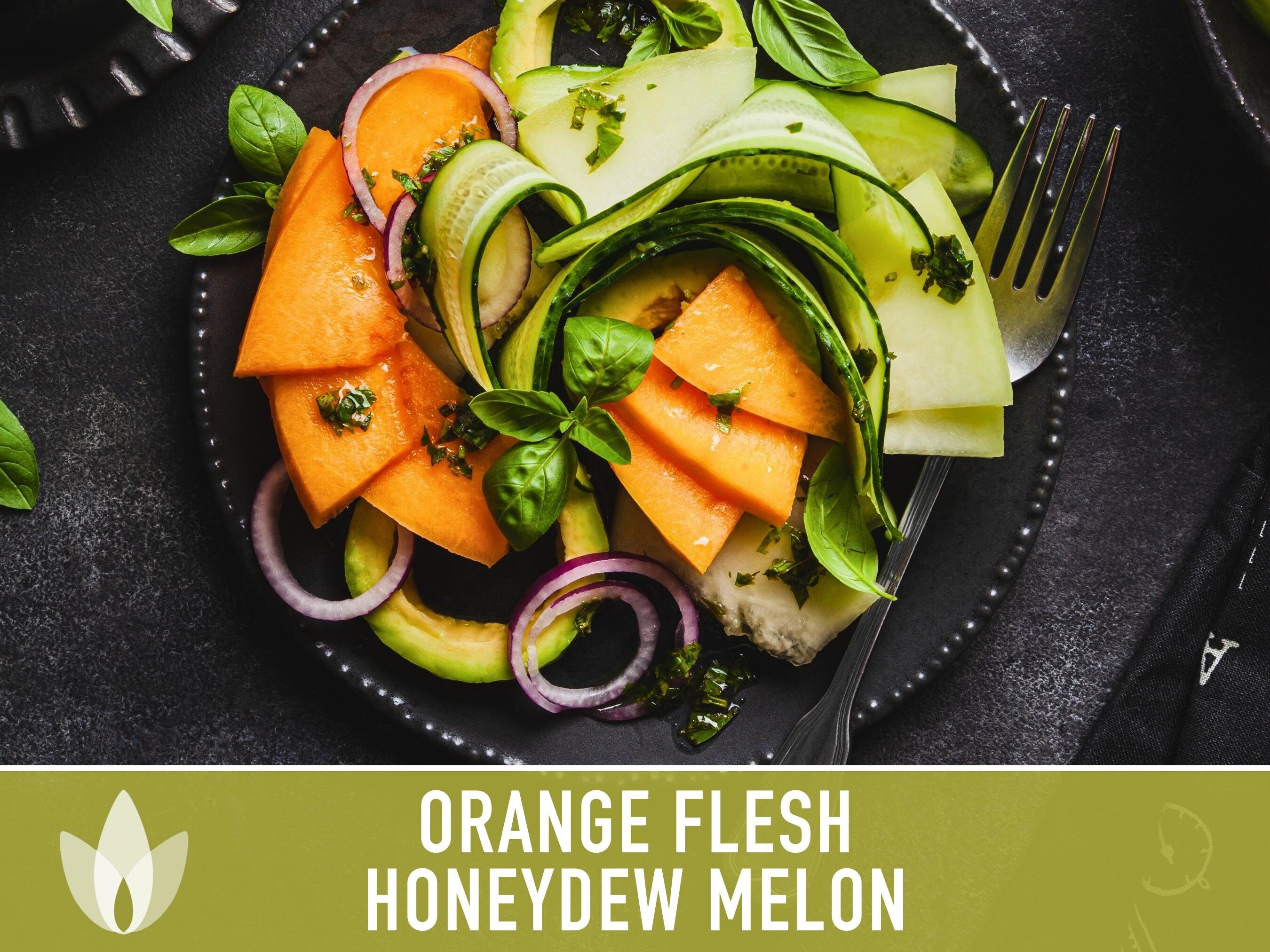 thumbnail image 2 of Home-Growth Golden Honeydew Melon Seeds – Sweet Orange Flesh, 30 Seeds, Ready For 2025 Planting 2 of 6
