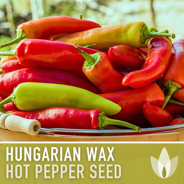 Hungarian Wax Hot Pepper Heirloom Seeds