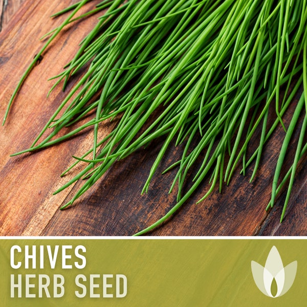 Chives Heirloom Herb Seeds