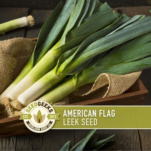 May include: Fresh leeks with white stalks and green leaves are arranged in a wooden crate lined with burlap. The crate sits on a dark wooden surface. The image includes a logo that says "American Flag Leek Seed".
