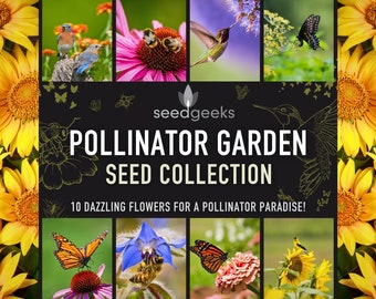 Pollinator Garden Seed Collection - 10 Dazzling Heirloom Flowers To Grow A Pollinator Paradise, Birthday Gift, Stocking Stuffer, Non-GMO