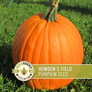 May include: A large, round, orange pumpkin with a green stem sits on green grass. The pumpkin has vertical ridges. The text "HOWDEN'S FIELD PUMPKIN SEED" is displayed on a banner. The Seed Geeks logo is also visible.