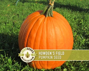 Howden's Field Pumpkin Seeds – Heirloom Jack-O-Lantern & Pie Variety