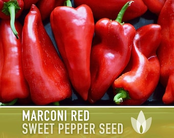 Marconi Red Sweet Pepper Heirloom Seeds