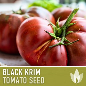 Black Krim Tomato Seeds - Heirloom Seeds, Russian Heirloom Tomato, Indeterminate, Open Pollinated, Non-GMO