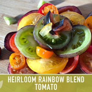 Heirloom Rainbow Blend Tomato Seeds | 25+ Non-GMO, Open Pollinated, Organic, Colorful Varieties Lycopersicon lycopersicum image 6