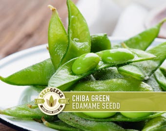 Chiba Green Edamame Seeds | 20+ Seeds, Organic Heirloom Soybean, Non-GMO, Glycine max