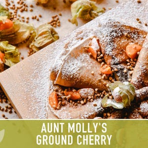 Aunt Molly's Ground Cherry Seeds | 25+ Seeds, Heirloom Fruit for Salsa, Jam, Physalis pruinosa image 6