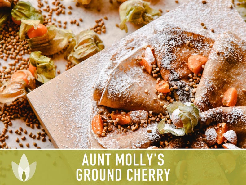 Aunt Molly's Ground Cherry Seeds | 25+ Seeds, Heirloom Fruit for Salsa, Jam, Physalis pruinosa image 6