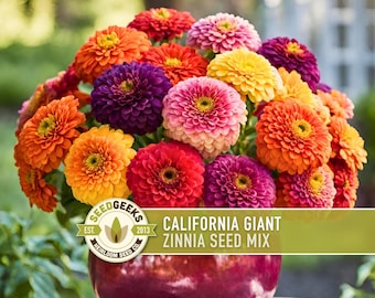 California Giant Zinnia Seed Mix | 100+ Seeds, Heirloom Flowers, Butterfly Garden, Zinnia elegans