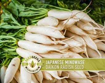 May include: A close-up of a pile of white Japanese Minowase Daikon radishes with green leaves. The radishes are long and cylindrical. The image includes a logo that says "Seed Geeks" and "Japanese Minowase Daikon Radish Seed."