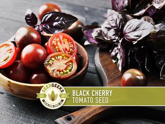 Black Cherry Tomato Seeds - Heirloom, Non-GMO