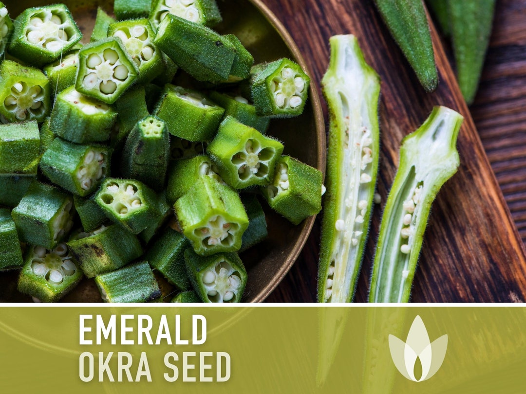 Emerald Green Velvet Okra Seeds Heirloom Seeds, Open Pollinated