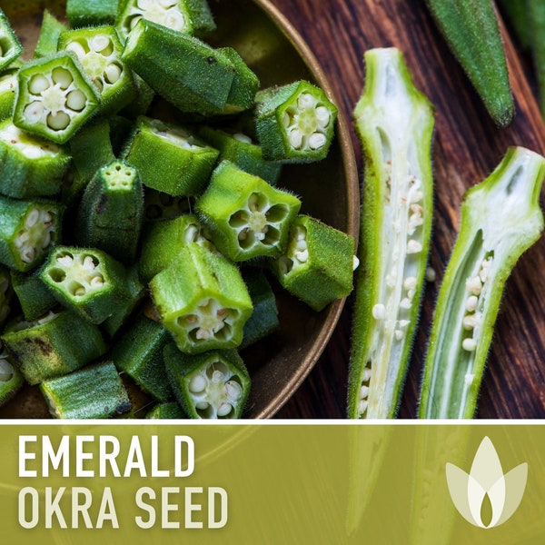 Emerald Green Velvet Okra Seeds - Heirloom Seeds, Open Pollinated, Spineless, Early Harvest, Gumbo, Non-GMO