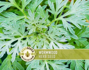 May include: A close-up of wormwood herb plant with silvery-green leaves. The image features a Seed Geeks logo and text that reads "Wormwood Herb Seed". The plant's leaves have a feathery texture and are set against a backdrop of green foliage.