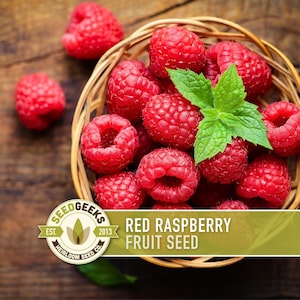May include: A wicker basket filled with bright red raspberries and a sprig of green mint sits on a wooden surface. The image includes the text "Red Raspberry Fruit Seed" and a logo.