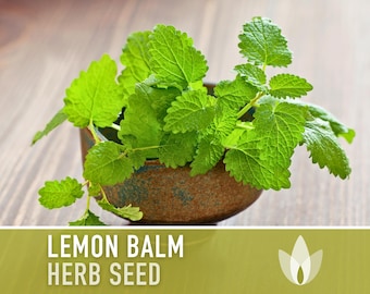 Lemon Balm Herb Heirloom Seeds