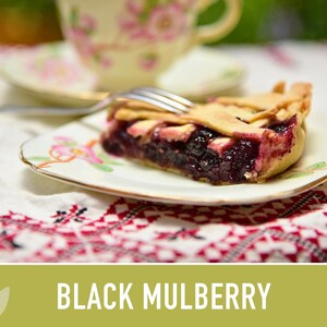 Black Mulberry Tree Seeds – Heirloom, Sweet Fruit (50 Seeds) zdjęcie 8