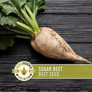 May include: A sugar beet with green leaves and a light brown root. The image includes the text "Sugar Beet Beet Seed" on a green banner, and a logo for Seed Geeks.