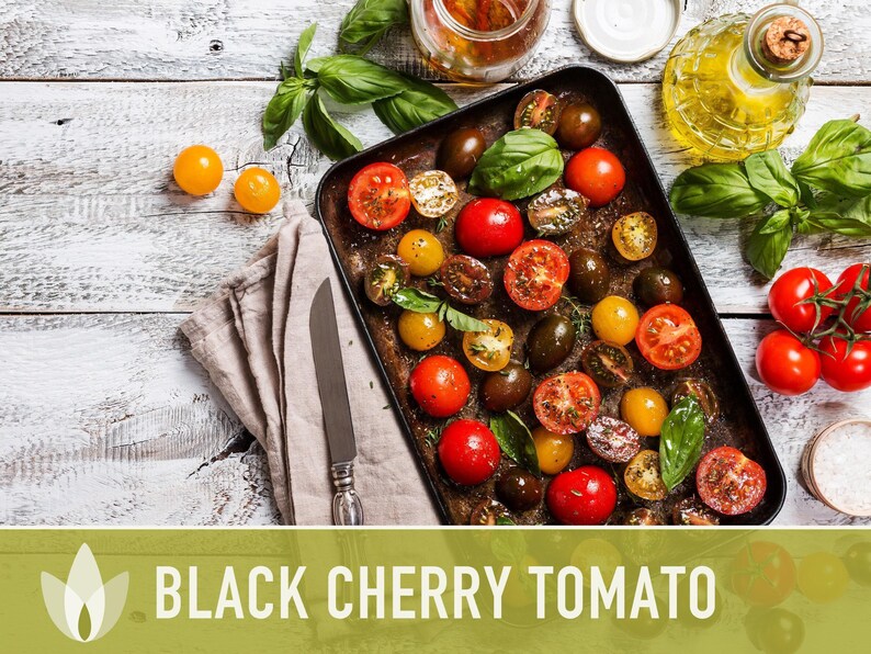 Black Cherry Tomato Seeds - Heirloom, Non-GMO image 8