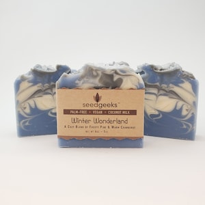 Winter Wonderland Soap - Handmade Soap, Natural Soap, Vegan Soap, Homemade Soap, Cold Process Soap, Coconut Milk, Holiday Gift Soap