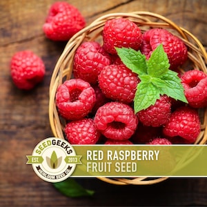 May include: A woven basket filled with bright red raspberries and a sprig of green mint sits on a wooden surface. The image includes the text "Red Raspberry Fruit Seed" and a logo.