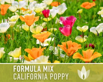 California Poppy, Mix Heirloom Seeds - Flower Seeds, Cool Weather Seeds, Flowers, Cool Season Flowers, Annual, California