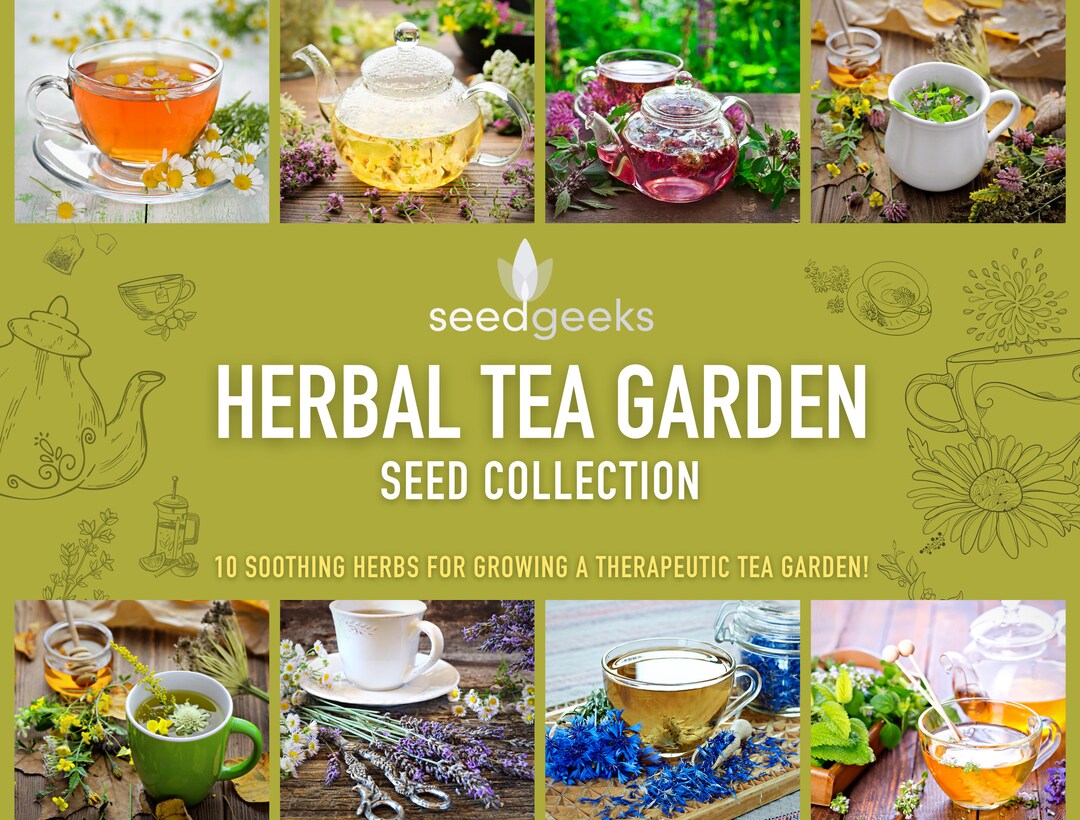 Herbal Tea Garden Seed Collection 10 Soothing Herbs for Etsy