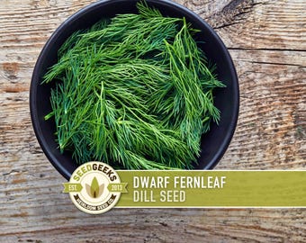 Dwarf Fernleaf Dill Seeds | 40+ Seeds, Heirloom, Culinary & Medicinal Herb, Butterfly Host | Anethum graveolens