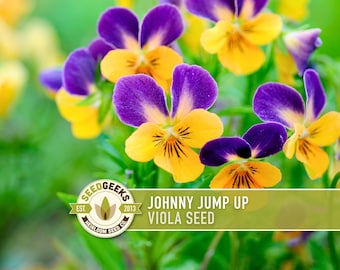 Johnny Jump Up Viola Seeds, Heirloom Tricolor Pansy, Edible Flower