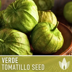 Tomatillo Verde Heirloom Seeds