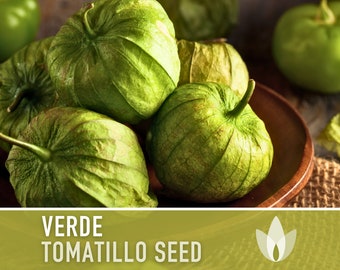 Tomatillo Verde Heirloom Seeds