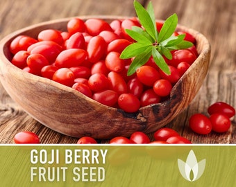 Goji Berry Seeds - Heirloom Seeds, Chinese Wolfberry, Traditional Medicinal Plant, Superfood, Lycium Chinense, Open Pollinated, Non-GMO