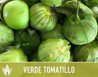 Tomatillo Verde Heirloom Seeds - Chinese Lantern, Salsa Verde, Canning Tomato, Green Flesh, Open Pollinated, Non-GMO