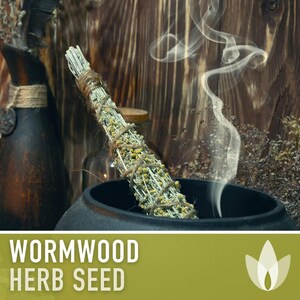 Wormwood Organic Medicinal Herb Seeds - Artemisia Absinthium, Heirloom, Non-GMO immagine 7