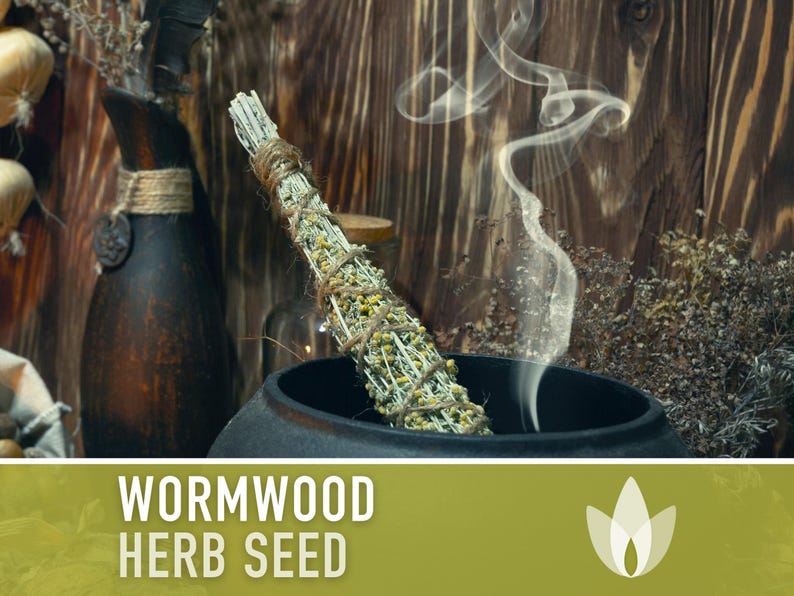 Wormwood Organic Medicinal Herb Seeds - Artemisia Absinthium, Heirloom, Non-GMO immagine 7