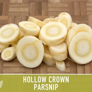 Hollow Crown Parsnip Heirloom Seeds - Non-GMO, Open Pollinated, Untreated, Root Vegetables, Fall Garden image 11