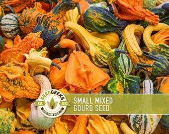 May include: A vibrant assortment of small, mixed gourds in various shapes and colors, including orange, yellow, green, and black. The image features a variety of textures and sizes, with a banner that reads "SMALL MIXED GOURD SEED" and the Seed Geeks logo.