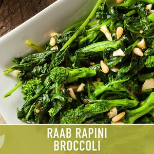 Broccoli Raab Rapini Heirloom Seeds image 10