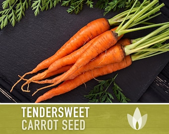 Tendersweet Carrot Heirloom Seeds - Seed Packets, Orange Carrot Seeds, Juicing Carrot, Rainbow Carrot, Easy to Grow, Open Pollinated,Non-GMO