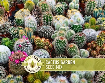Cactus Garden Seed Mix | 50+ Seeds, Saguaro, Prickly Pear, Hedgehog, Santa Rita, Desert, Cactaceae