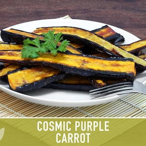 Cosmic Purple Carrot Heirloom Seeds Danvers Carrot, Purple Carrot Seeds, Juicing Carrot, Beta-Carotene, Anthocyanins, Easy to Grow Non-GMO image 7