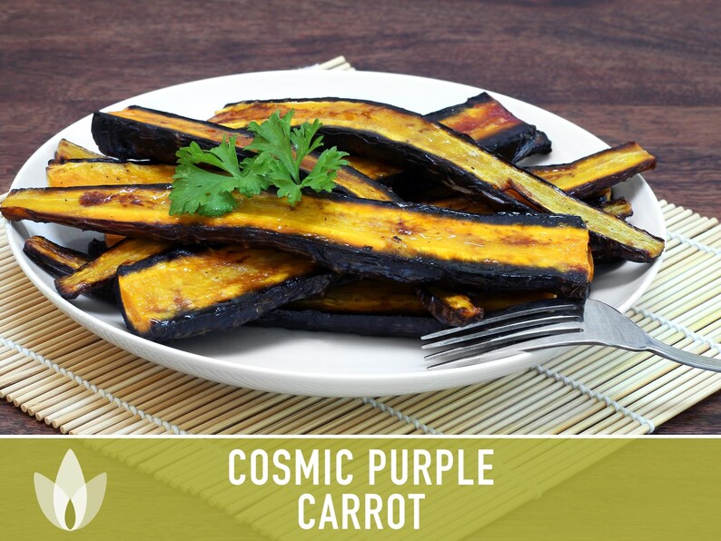 Cosmic Purple Carrot Heirloom Seeds Danvers Carrot, Purple Carrot Seeds, Juicing Carrot, Beta-Carotene, Anthocyanins, Easy to Grow Non-GMO image 7