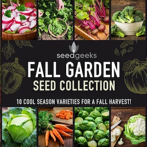 May include: A selection of autumn vegetables, such as radishes, spinach, beetroot, broccoli, cabbage, carrots, Brussels sprouts, and cauliflower. The image includes the text "Fall Garden Seed Collection" and the phrase "10 cool season varieties for a fall harvest!"