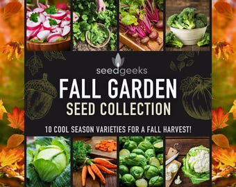 Heirloom Fall Garden Seed Collection – 10 Non-GMO Varieties
